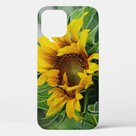 Zonnebloem Case-Mate iPhone Case (Achterkant)