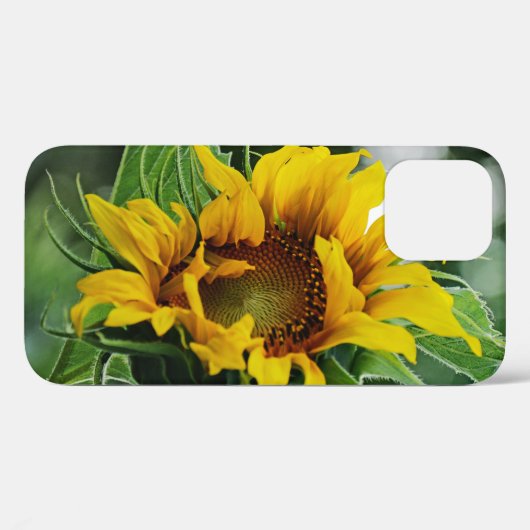 Zonnebloem Case-Mate iPhone Case (Achterkant (horizontaal))