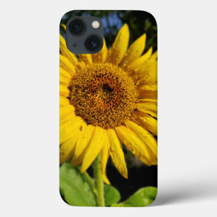 Zonnebloem Case-Mate iPhone Case