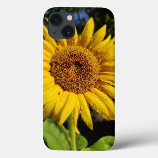 Zonnebloem Case-Mate iPhone Case (Achterkant)