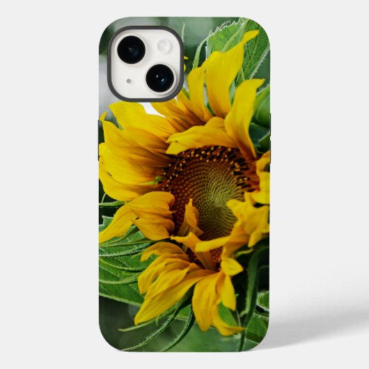 Zonnebloem Case-Mate iPhone Case (Achterkant)