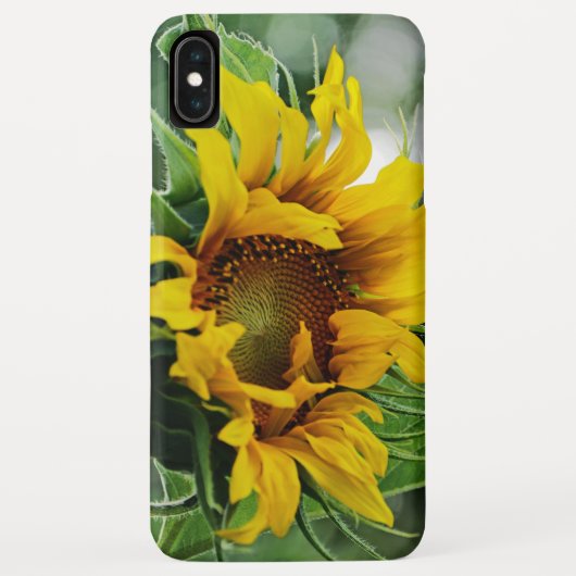 Zonnebloem Case-Mate iPhone Case (Achterkant)