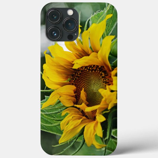 Zonnebloem Case-Mate iPhone Case (Achterkant)