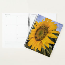 Zonnebloem Closeup Planner