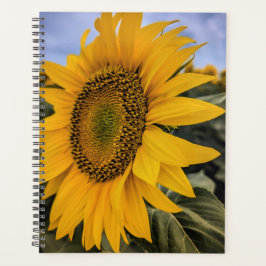 Zonnebloem Closeup Planner