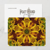 Zonnebloem collage - Briefkaart (Voorkant / Achterkant)