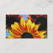 Zonnebloem Contactkaartje (Achterkant)