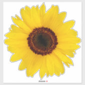 Zonnebloem Contour Sticker (Vel)
