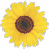 Zonnebloem Contour Sticker (Voorkant)
