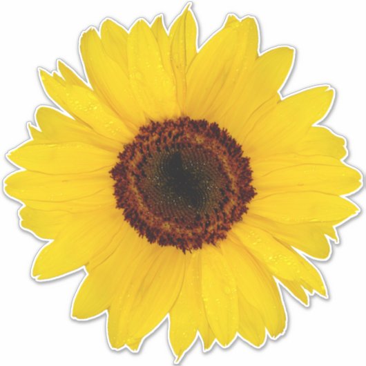 Zonnebloem Contour Sticker (Voorkant)
