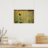Zonnebloem Dag Poster (Keuken)