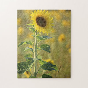 Zonnebloem Dag Puzzle Legpuzzel