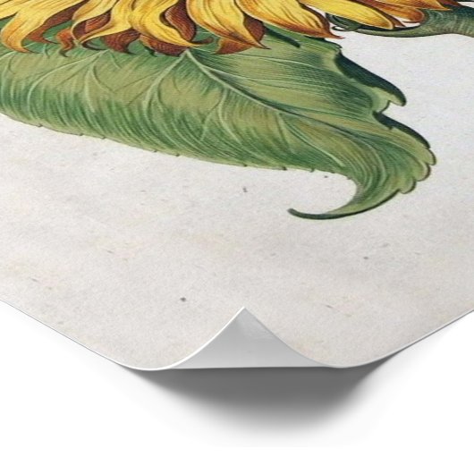 Zonnebloem  Damask Wallpaper Collage Poster (Hoek)