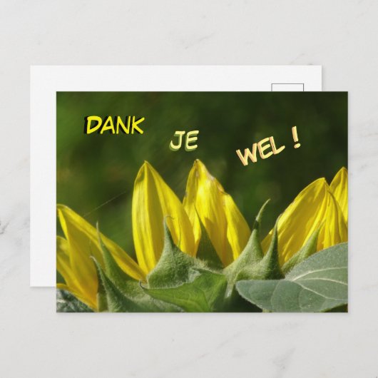 Zonnebloem Dank je Briefkaart (Voorkant / Achterkant)