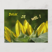 Zonnebloem Dank je Briefkaart (Voorkant)