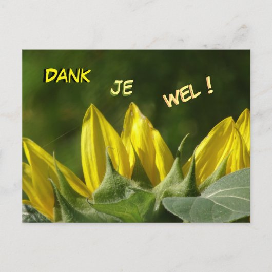 Zonnebloem Dank je Briefkaart (Voorkant)
