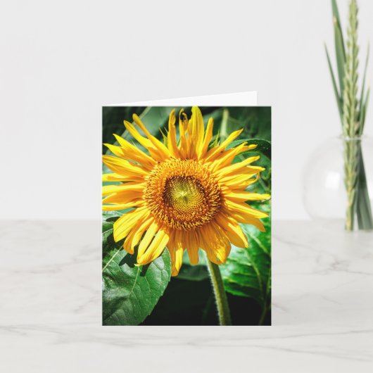 Zonnebloem Delight Kaart (Voorkant)