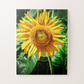 Zonnebloem Delight Legpuzzel