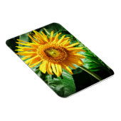 Zonnebloem Delight Magneet (Rechterzijde)