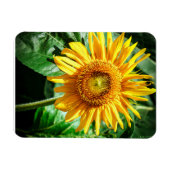 Zonnebloem Delight Magneet (Horizontaal)