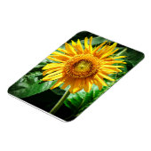 Zonnebloem Delight Magneet (Linkerzijde)