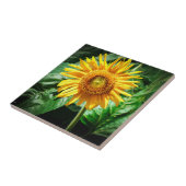 Zonnebloem Delight Tegeltje (Zijkant)