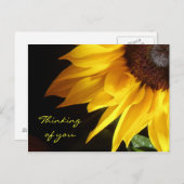 Zonnebloem: Denk aan je Briefkaart (Voorkant / Achterkant)