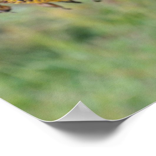 Zonnebloem dicht bij poster (Hoek)