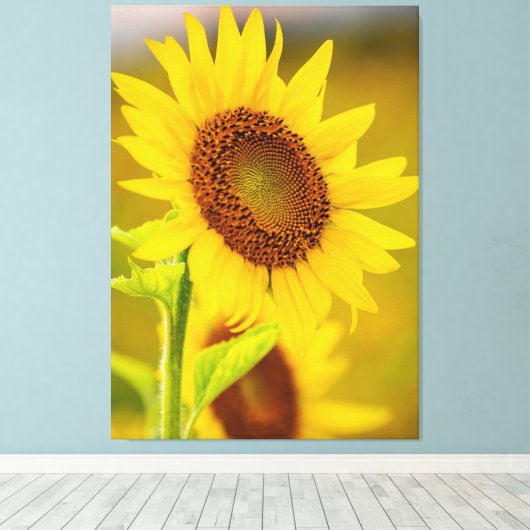Zonnebloem dicht canvas afdruk (Insitu (Houten vloer))