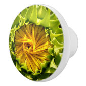 Zonnebloem dicht keramische knop (Rechts)