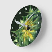Zonnebloem die bloeit ronde klok (Hoek)