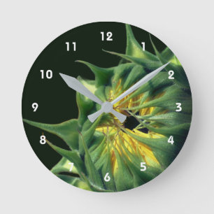 Zonnebloem die bloeit ronde klok