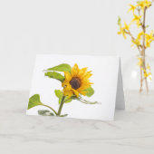 Zonnebloem die de hemel kust kaart (Gele Bloem)