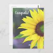 Zonnebloem Digitale Waterverf 2 Briefkaart (Voorkant / Achterkant)
