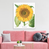  zonnebloem door Basilius Besler Canvas Afdruk (Insitu (Woonkamer))