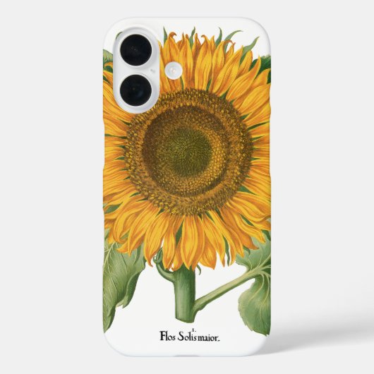 zonnebloem door Basilius Besler Case-Mate iPhone Case (Achterkant)