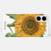 zonnebloem door Basilius Besler Case-Mate iPhone Case (Achterkant (horizontaal))