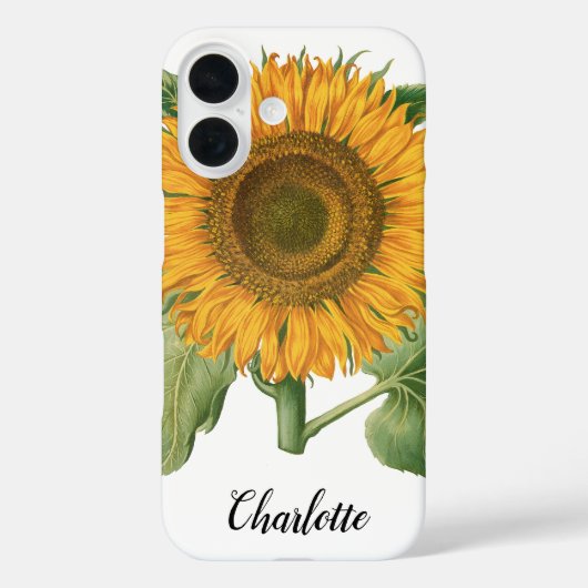  zonnebloem door Basilius Besler Case-Mate iPhone Case (Achterkant)