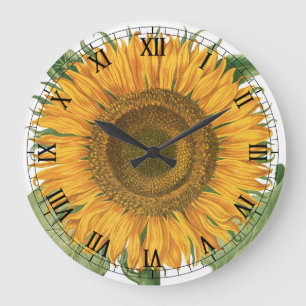 Zonnebloem door Basilius Besler Grote Klok