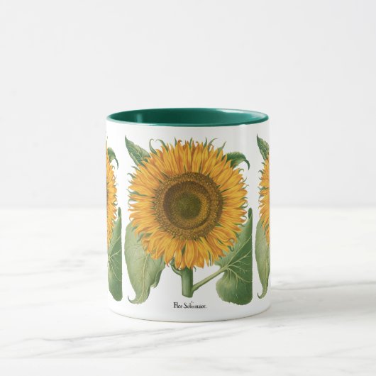  zonnebloem door Basilius Besler Mok (Midden)