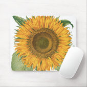  zonnebloem door Basilius Besler Muismat (Met muis)