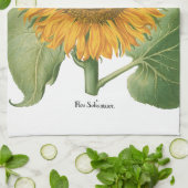  zonnebloem door Basilius Besler Theedoek (Gevouwen)