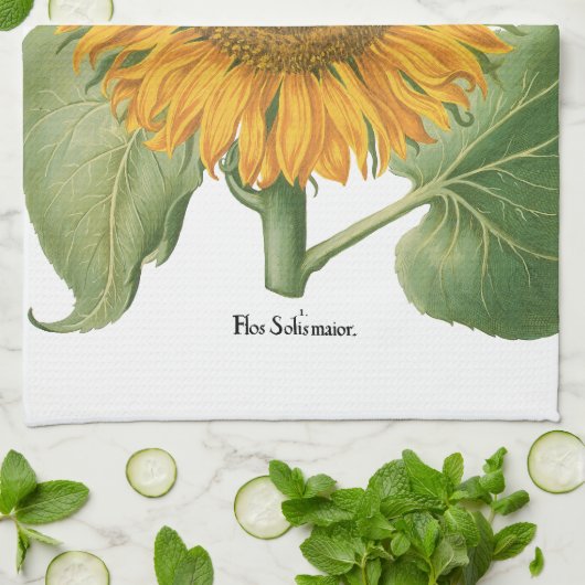  zonnebloem door Basilius Besler Theedoek (Gevouwen)