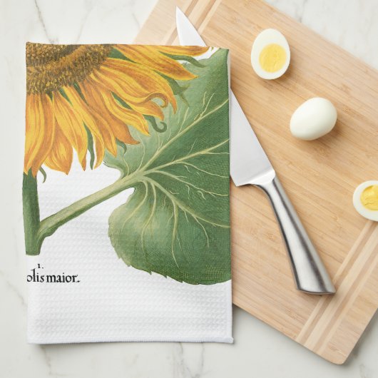  zonnebloem door Basilius Besler Theedoek (Quarter Fold)