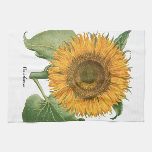  zonnebloem door Basilius Besler Theedoek (Horizontaal)