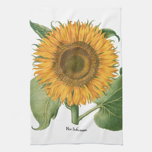  zonnebloem door Basilius Besler Theedoek (Verticaal)