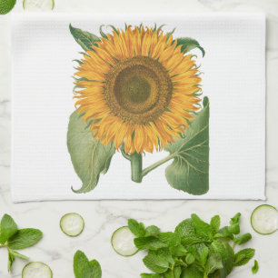  zonnebloem door Basilius Besler Theedoek