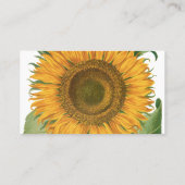  zonnebloem door Basilius Besler Visitekaartje (Achterkant)