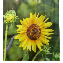 Zonnebloem Douchegordijn