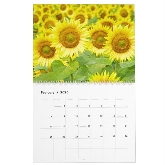 Zonnebloem dromen kalender (Feb 2026)